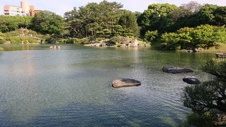 注意して見ないと見過ごします