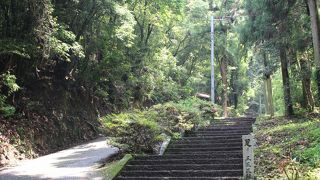 ３３０段の階段はしんどいですが、大塔は見応えがあります