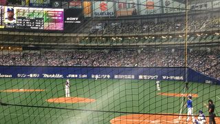 ネット裏最前列