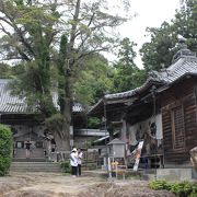 住宅地の中の普通のお寺