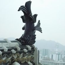 六階南側から見たしゃちほこ