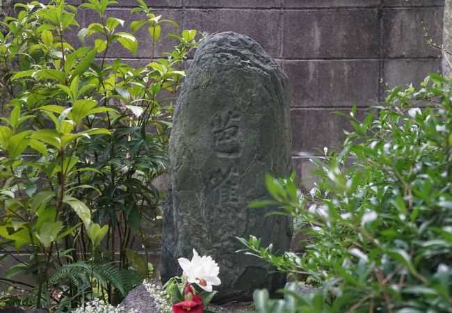 見どころは芭蕉最古の供養塔