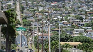 ワイキキからもほど近いおしゃれなローカルタウンとして、人気上昇中の地域で、美味しい飲食店が点在することでも有名です。