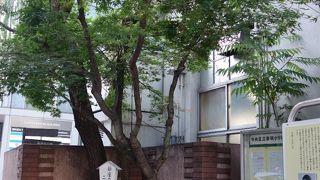 泰明小学校の前にありました