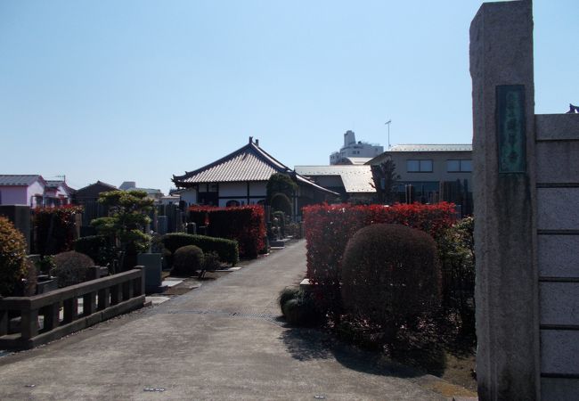 顕本法華宗の寺院です。