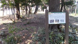 飛鳥山には飛鳥山古墳があります。