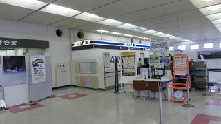 ANAのマイレージで羽田から55分で到着