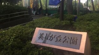 新興住宅地の公園