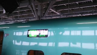 はやて～はやぶさ以外の唯一の列車種別～