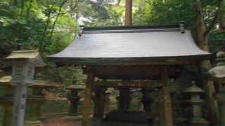  真須賀神社
