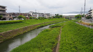 琵琶湖から加茂川へ