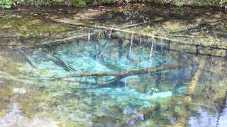 過度な期待はしない方が・・・。