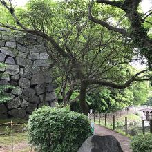 石垣が美しく残る