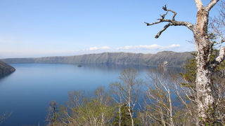 神様がいっぱいです。