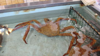 「イバラガニ」を売っていました。