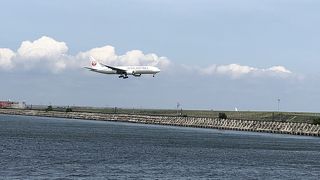 飛行機が大きく見えます