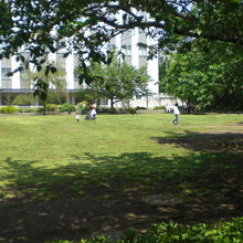 和泉公園は、芝生が敷き詰められていて気持ちの良い公園です。