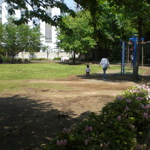 和泉公園には、親子連れで憩いのひと時を楽しむ光景が見られます