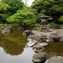 中島から見る雪見灯篭
