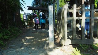 武蔵御嶽神社の奥が山頂です
