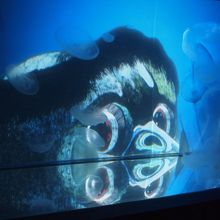 河童が描かれた水槽にはクラゲが。