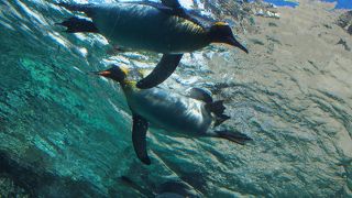 時間が足りない！