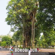 きれいに整備された遺跡公園