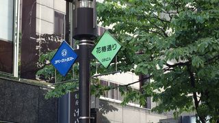 椿も植えられている