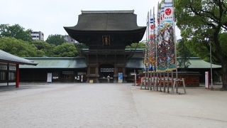 勝ちたい人に！