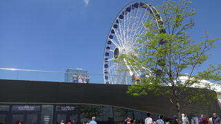 港のが遊園施設。