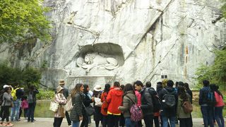 ガイドブックに載っているライオンを見に