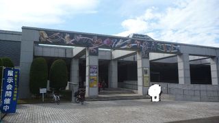 千葉県の歴史や自然環境を学べる