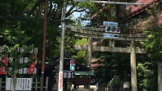 うさぎのパワースポット