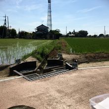 田んぼの中にある三県境