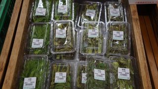 コゴミやコシアブラといった山菜が豊富に並んでいて