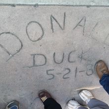 ドナルドダック