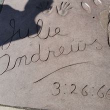 ジュリーアンドリュース