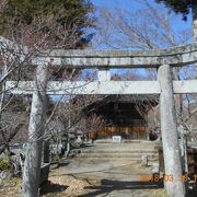 高遠城の本丸跡にありました