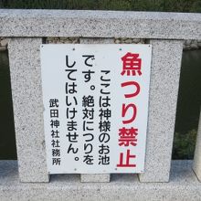 こんな所でも釣りをする非常識な人もいるのですね……
