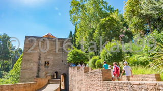 少し離れて眺めると、屋上にカワイイ小屋があることが分かります。