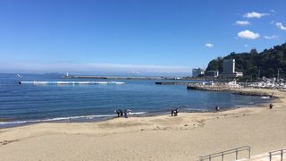 美しい熱海の海岸。ジャカランダフェス開催中でした。