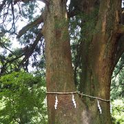 神社から上り始めてすぐの場所にあります