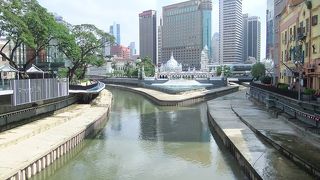 水は濁っていますが