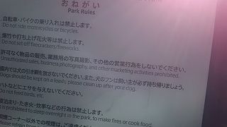 小さなきれいな公園