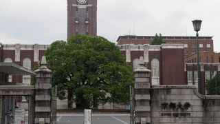 京都大学のシンボル