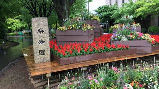 三島駅すぐそば！