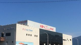 サンフラワーが止まる