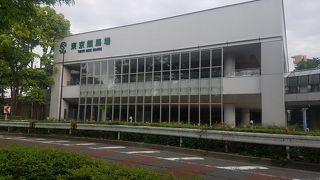 思ったより明るい雰囲気