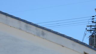 和スイーツバイキング行ってきました