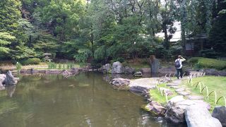 綺麗な庭園